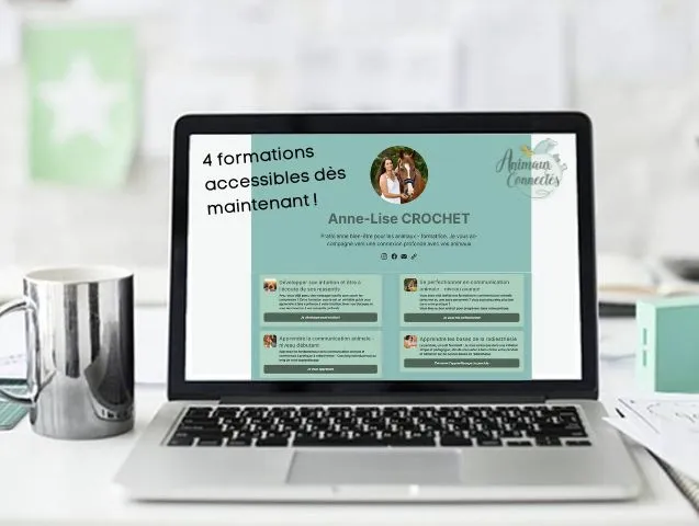 Formations en ligne en communication animale