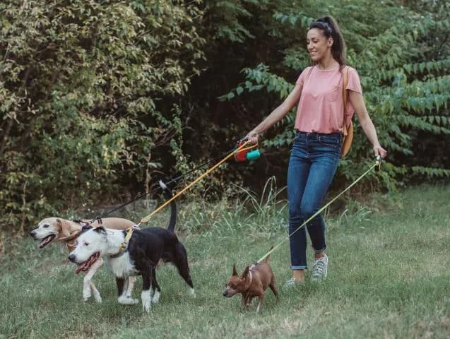 faire-garder-son-chien