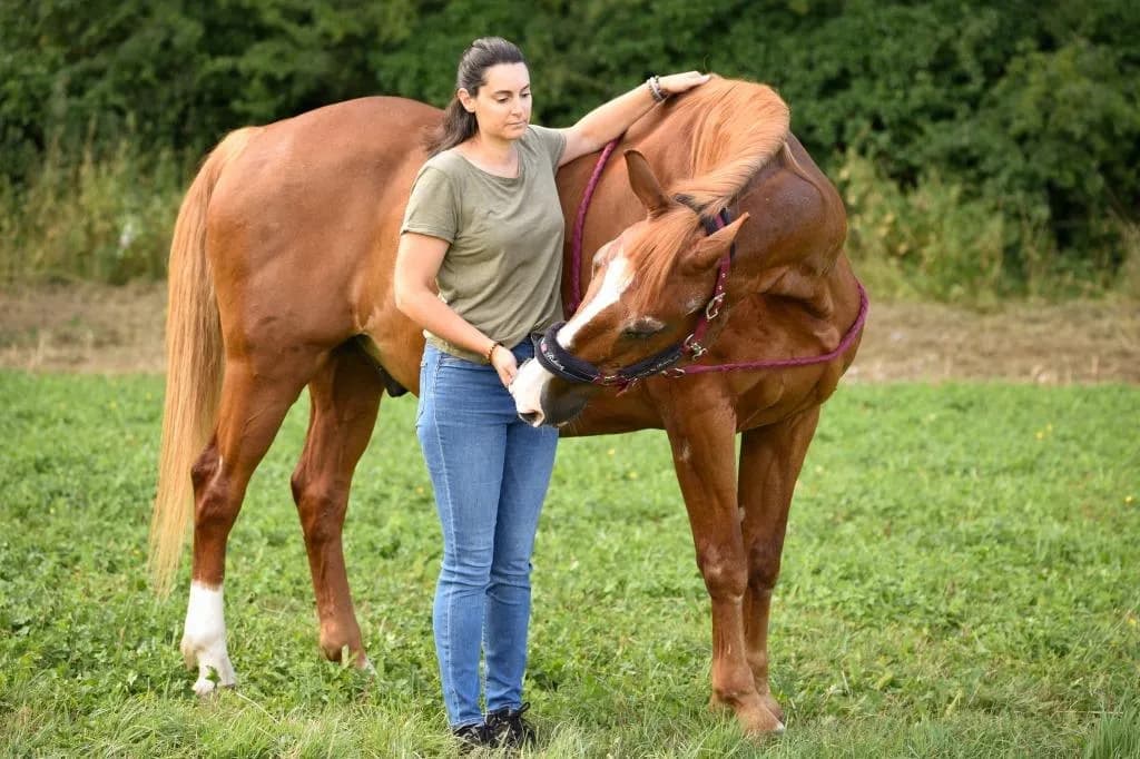 Cheval etirement encolure
