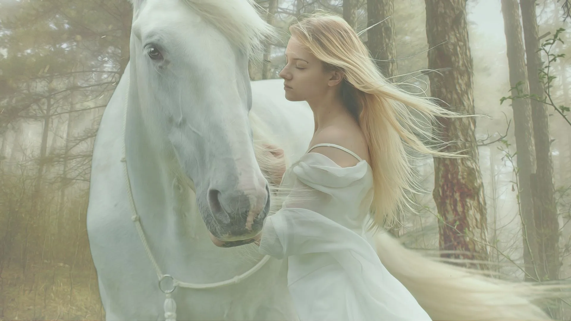 femme-connexion-cheval