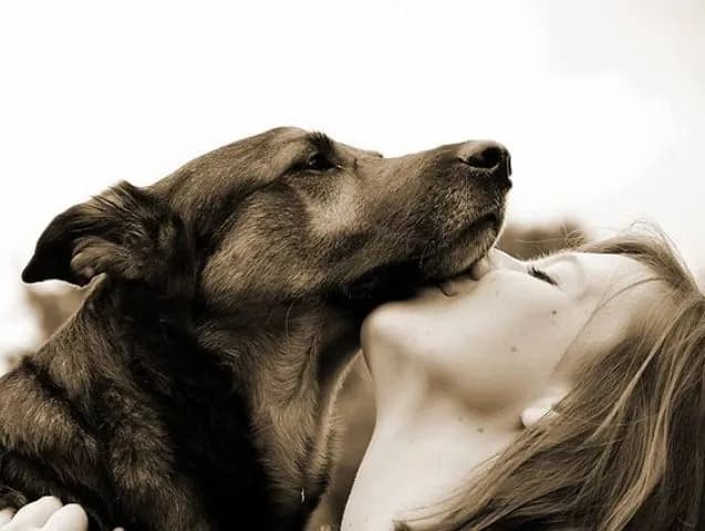 comment-choisir-un-interprete-animalier