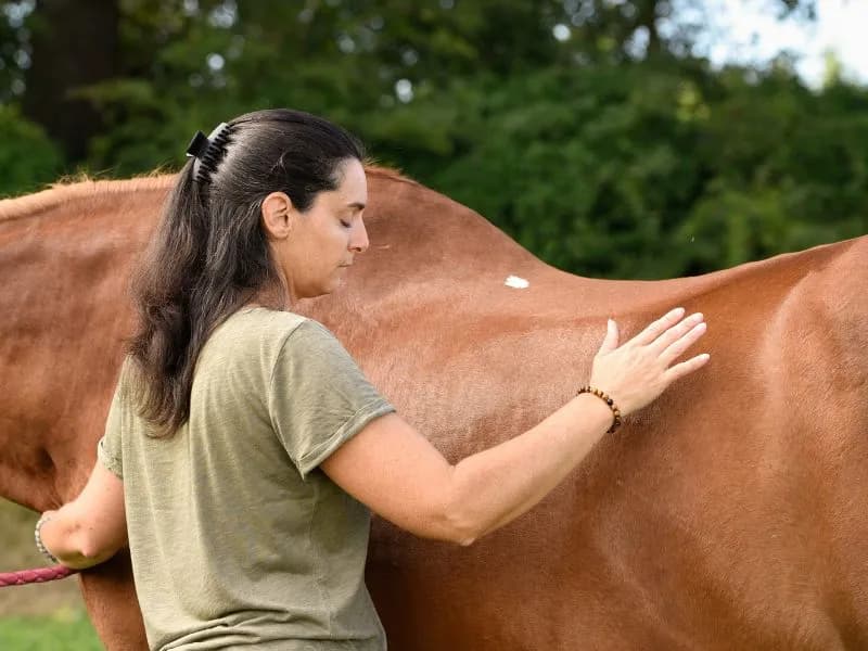 Femme fait un soin énergétique sur un cheval