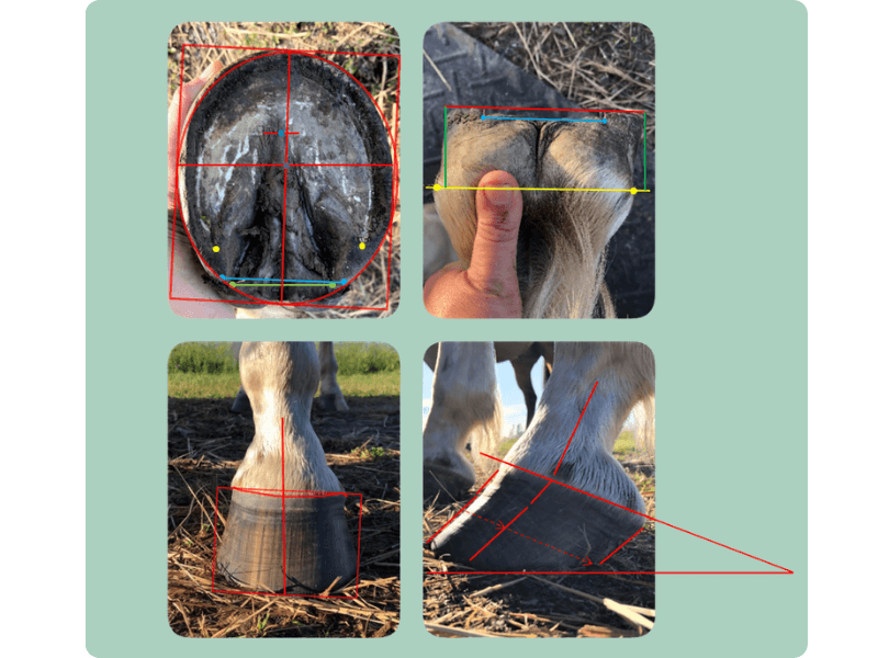 Parage physiologique
