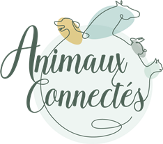 Communication animale & soins énergétiques Logo