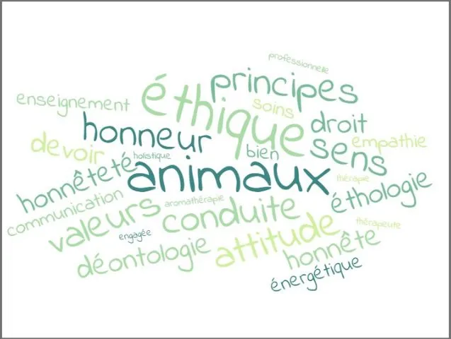 Ma charte éthique pour mes consultations