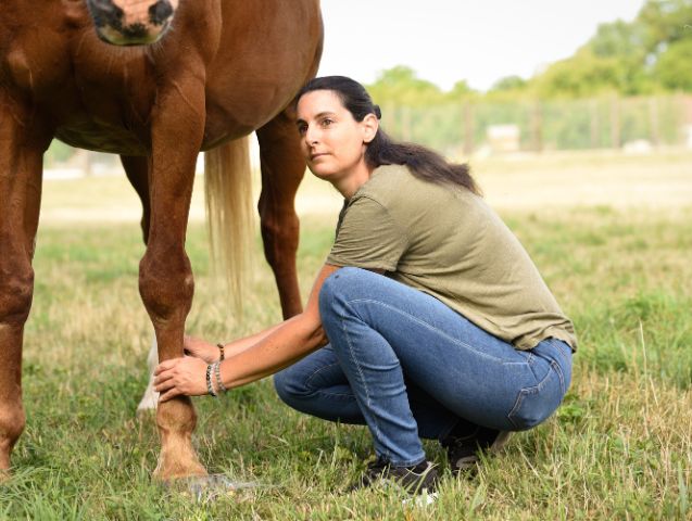 EFT pour les animaux