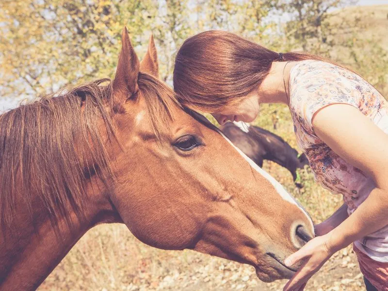 femme-lien-cheval