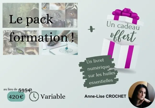 Pack formation pack-formation-communication-animale