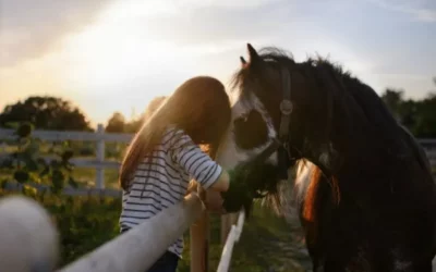 Les « vraies » clés de la réussite pour pratiquer la communication animale !
