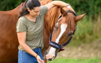 Praticienne bien-être pour les animaux