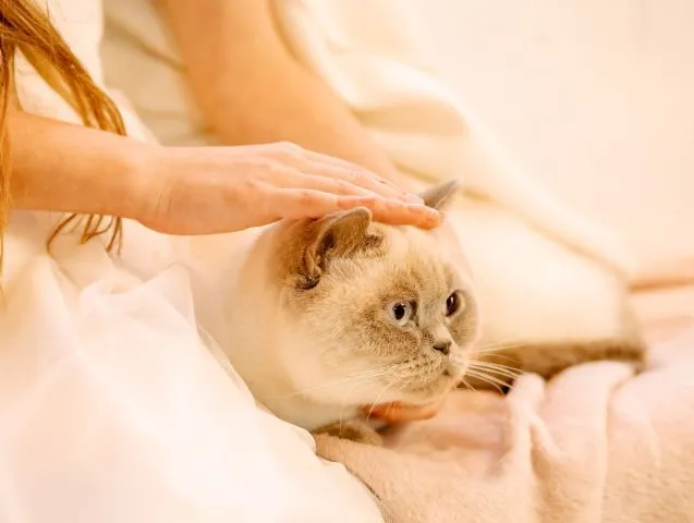 Thérapeute animalier, c&rsquo;est quoi ?