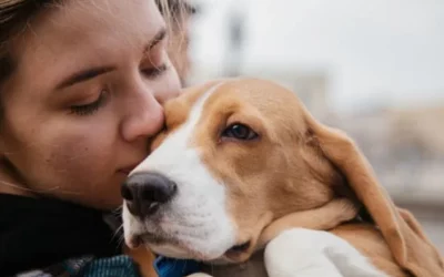 Communiquer avec les animaux