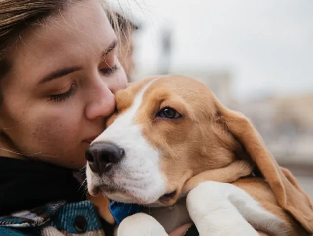 Communiquer avec les animaux